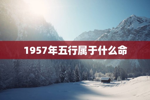 1957年五行属于什么命