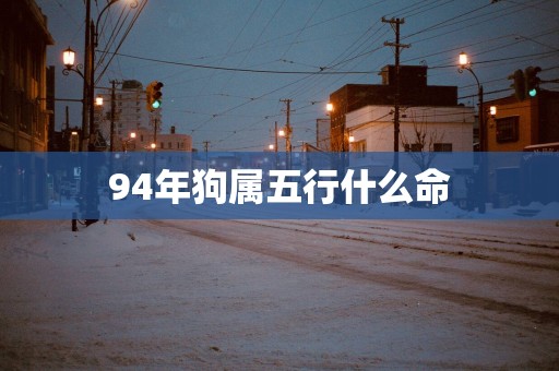 94年狗属五行什么命