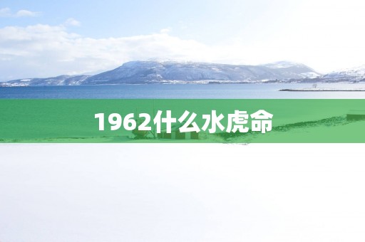 1962什么水虎命