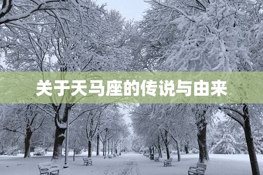 关于天马座的传说与由来