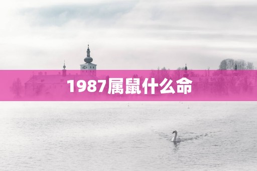 1987属鼠什么命