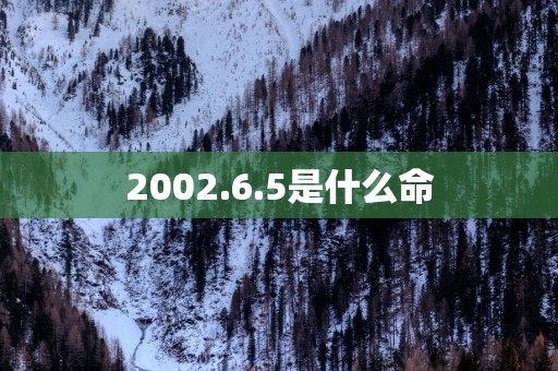 2002.6.5是什么命