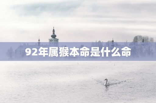 92年属猴本命是什么命