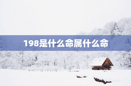 198是什么命属什么命
