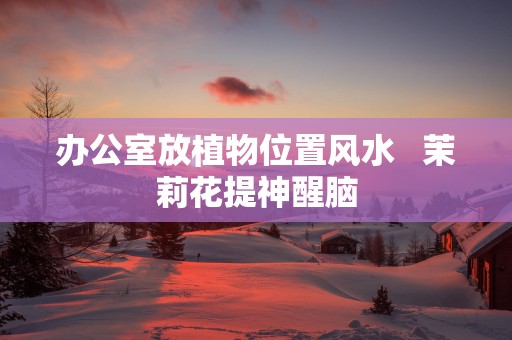 办公室放植物位置风水   茉莉花提神醒脑