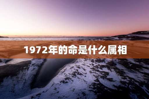 1972年的命是什么属相