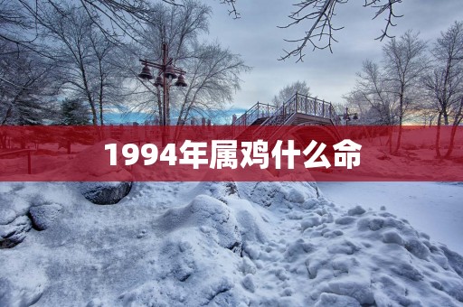 1994年属鸡什么命