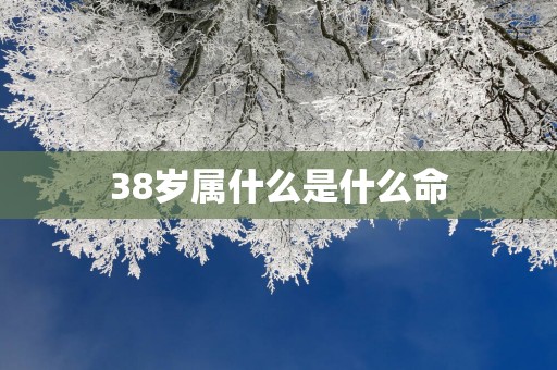38岁属什么是什么命