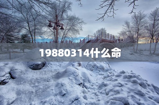 19880314什么命