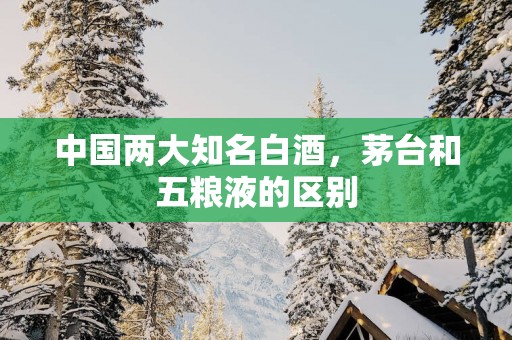 中国两大知名白酒，茅台和五粮液的区别