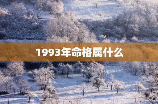 1993年命格属什么