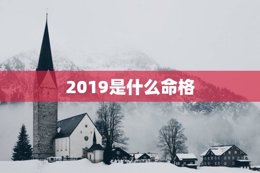 2019是什么命格