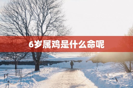 6岁属鸡是什么命呢