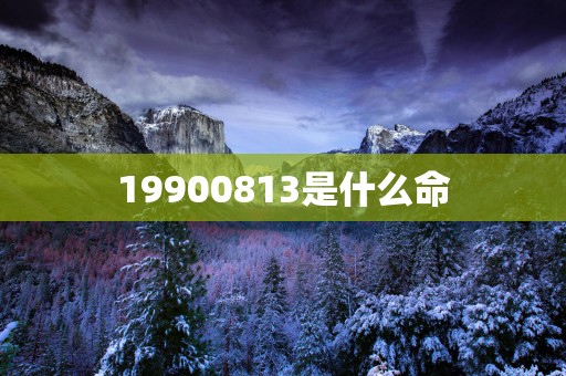 19900813是什么命