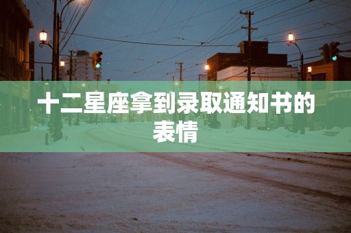 十二星座拿到录取通知书的表情