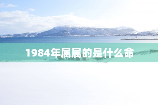 1984年属属的是什么命