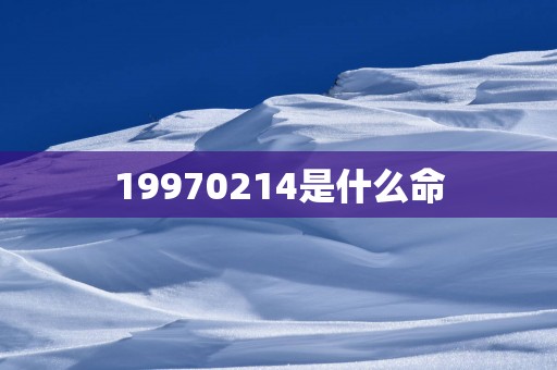19970214是什么命