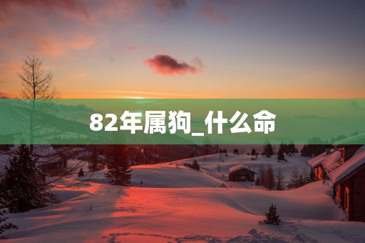 82年属狗_什么命