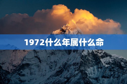 1972什么年属什么命