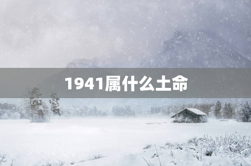 1941属什么土命