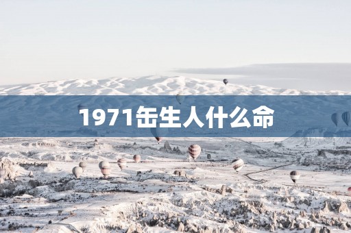 1971缶生人什么命