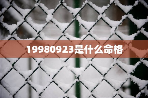 19980923是什么命格