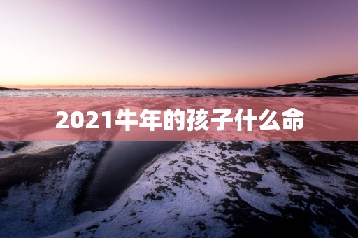 2025蛇年的孩子什么命