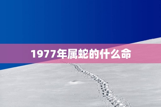 1977年属蛇的什么命