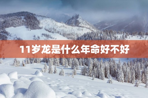 11岁龙是什么年命好不好