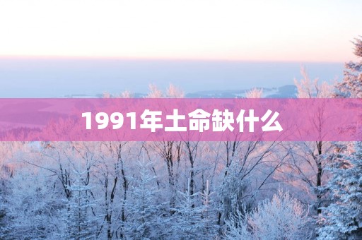 1991年土命缺什么