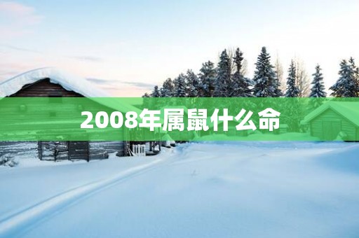 2008年属鼠什么命