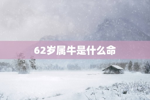 62岁属牛是什么命