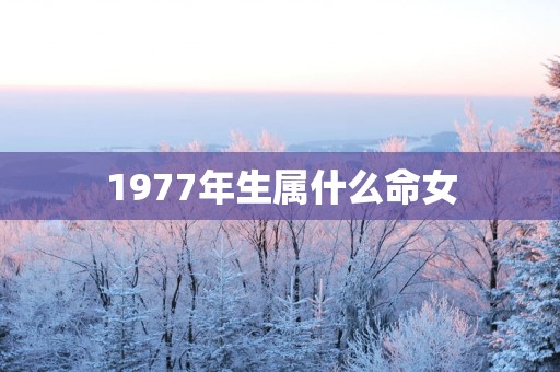 1977年生属什么命女