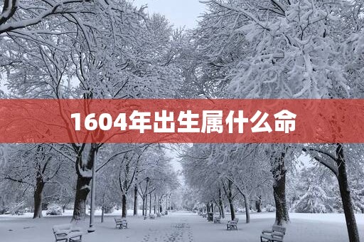 1604年出生属什么命
