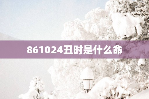 861024丑时是什么命