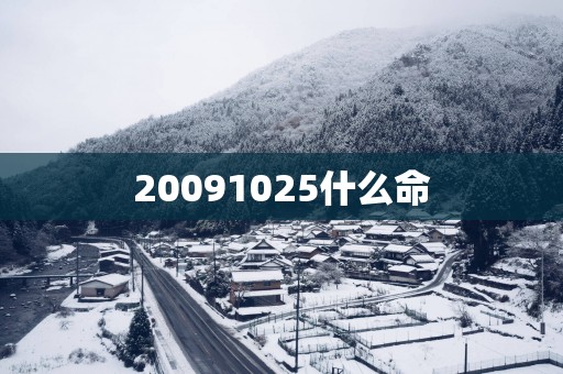 20091025什么命