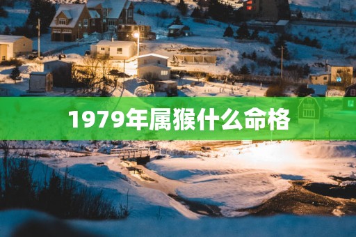 1979年属猴什么命格