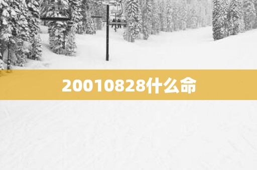 20010828什么命