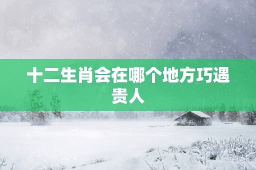 十二生肖会在哪个地方巧遇贵人