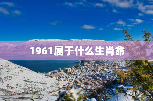 1961属于什么生肖命