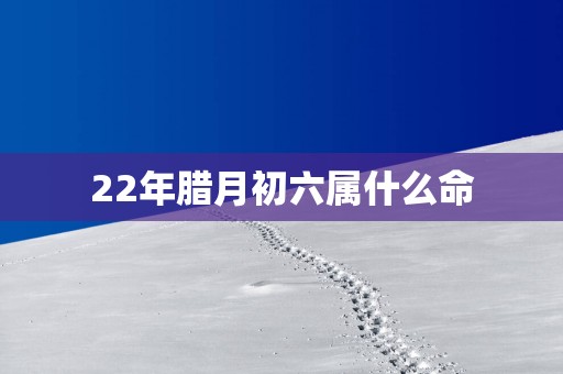 22年腊月初六属什么命