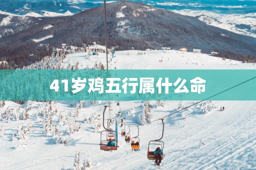 41岁鸡五行属什么命