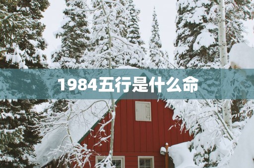 1984五行是什么命