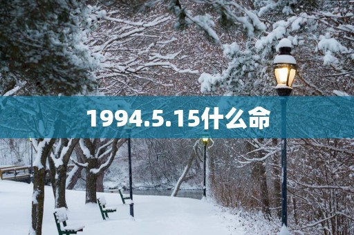 1994.5.15什么命