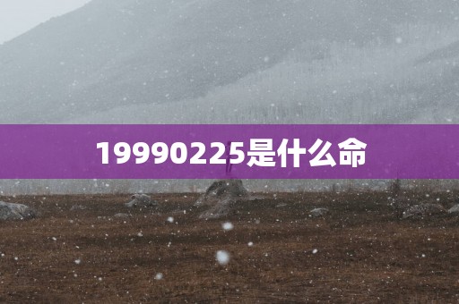 19990225是什么命