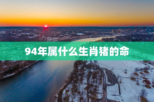 94年属什么生肖猪的命