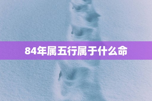 84年属五行属于什么命