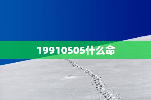 19910505什么命