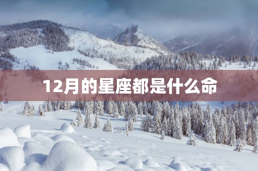 12月的星座都是什么命