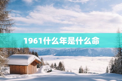 1961什么年是什么命